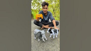 Remote control elephant 🐘 with Rc cow 🐄 testing