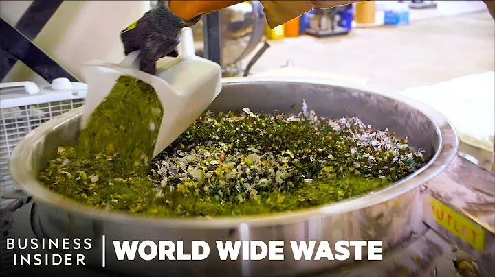 Meet 8 Young Founders Turning Trash Into Cash | World Wide Waste | Insider Business - DayDayNews