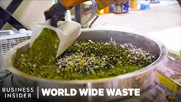 Meet 8 Young Founders Turning Trash Into Cash | World Wide Waste | Business Insider