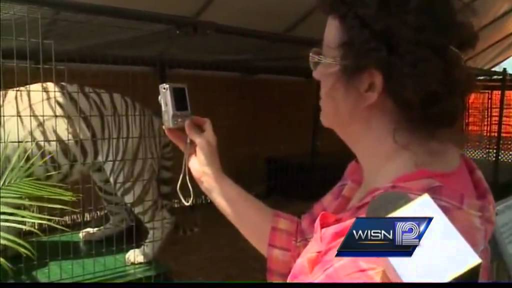 Animal attractions at state fair go beyond cows, pigs