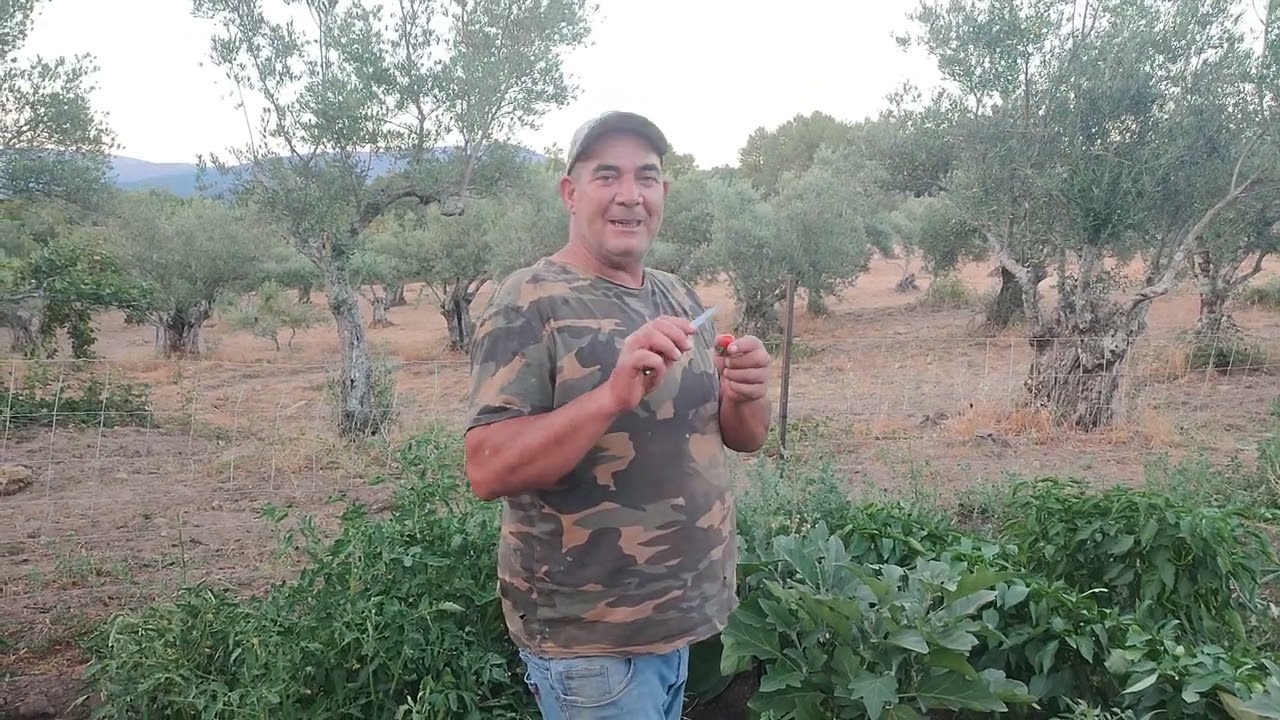 Me jarto a tomates, perdemos instinto primitivo