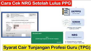 Cara Cek NRG Setelah Lulus PPG dan Alur Pencairan Tunjangan Profesi Guru (TPG)