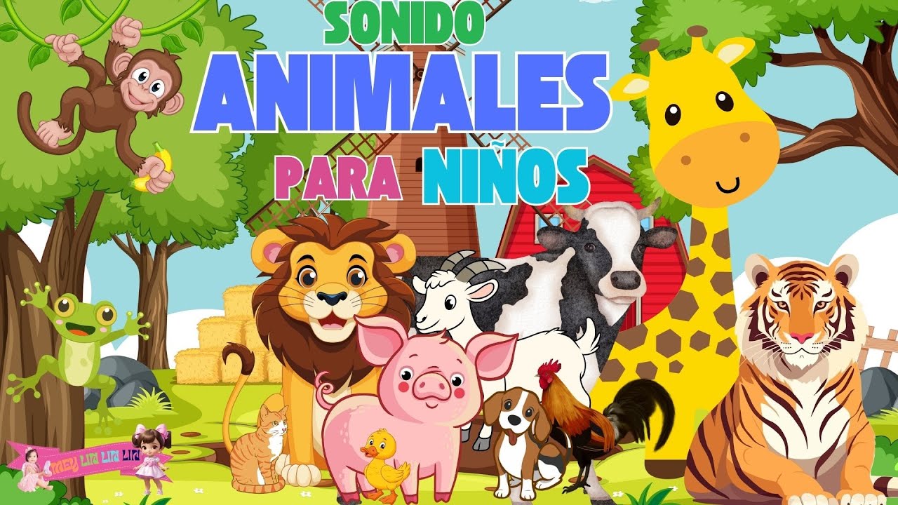 Sonidos de Animales para Niños | canción de animales 🦁🐯🐸🐿️ 🎵 - YouTube