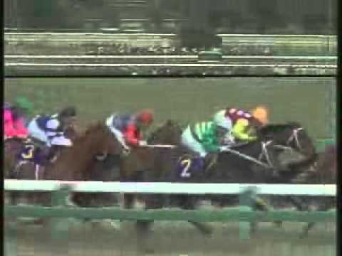 1984 Satsuki Sho - Symboli Rudolf - YouTube
