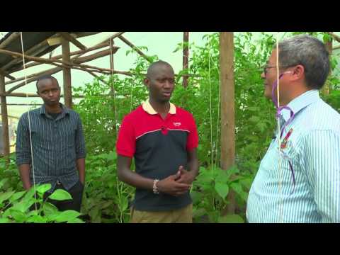 ⁣Green Houses - Seeds Of Gold TV - Season 2 Episode 9 | 2016