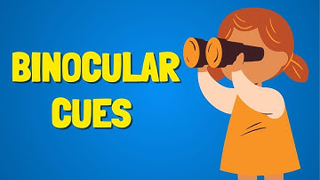 Binocular Cues Explained: How We See the World in 3D. Science of Depth Perception. Free PDF Download