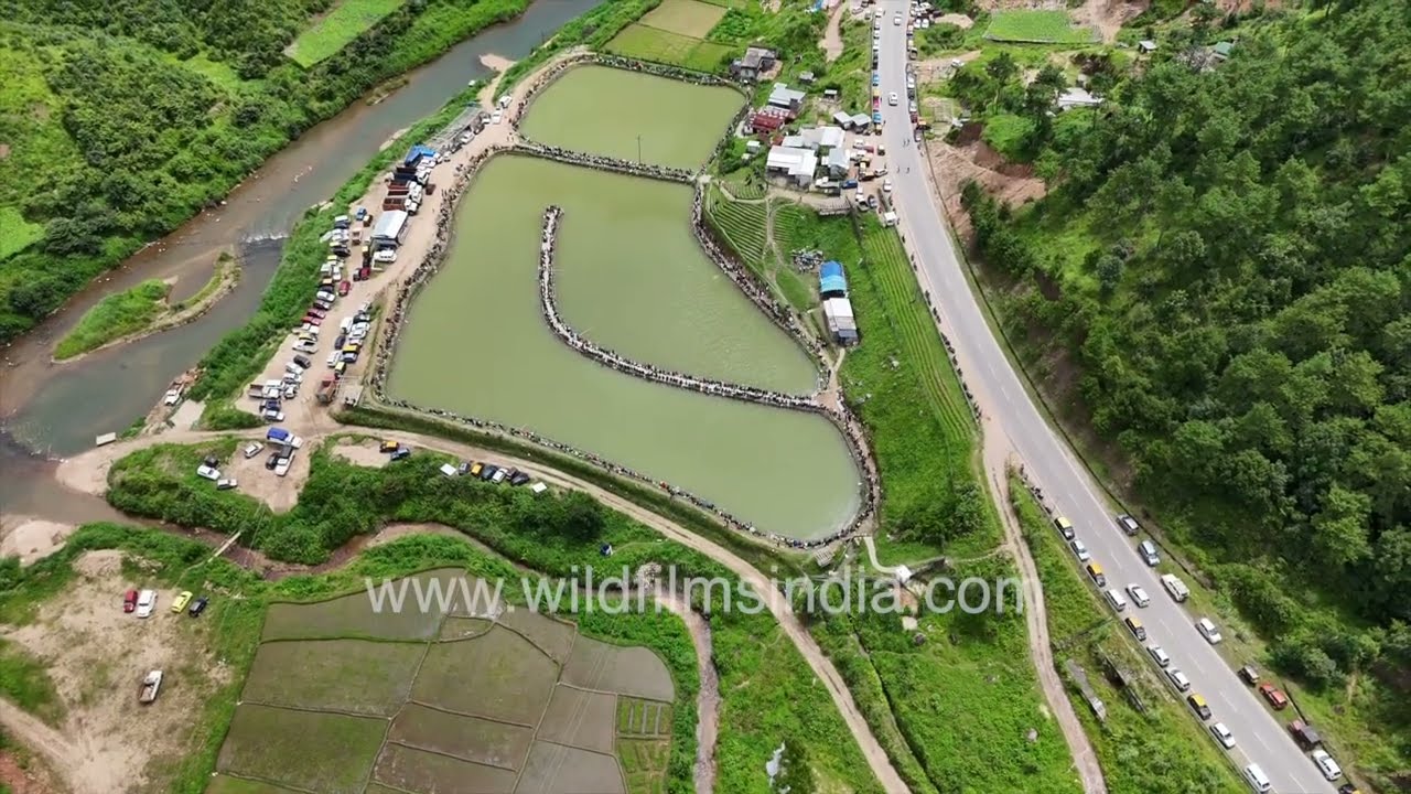 An aerial view of Bynther Village near Japung Valley, reveals lush green hills and fishing ritual.