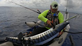 Hawaii Kayak Fishing: Sneaking Wahoos Past Dolphins and Sharks!