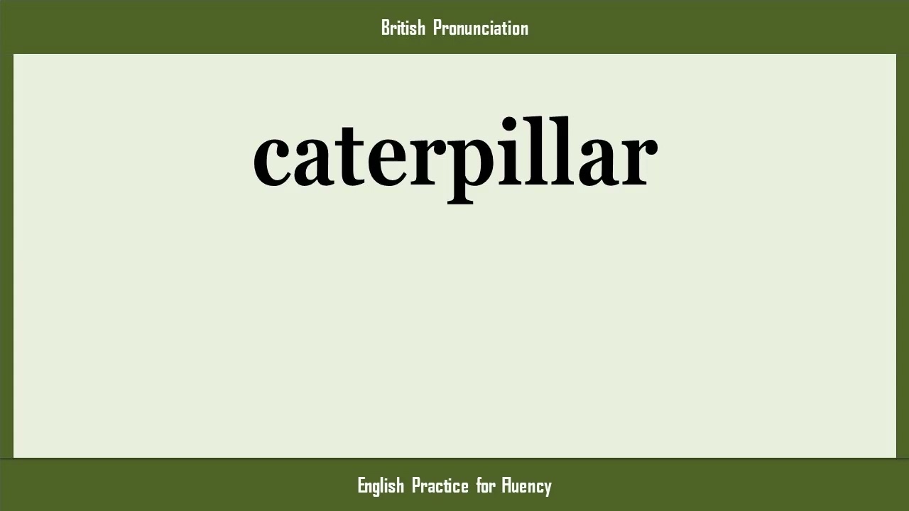 caterpillar, How to Say or Pronounce CATERPILLAR in American, British, Australian English
