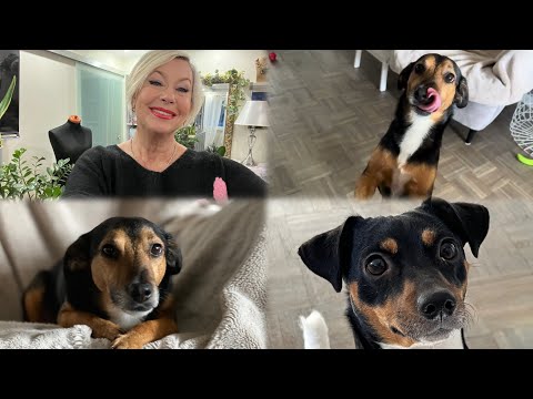 15 апреля 2026 г.Прогулка продолжается 🐕‍🦺🐶Вот как выглядит с зади 💇‍♀️Мне все нравится 🥰 