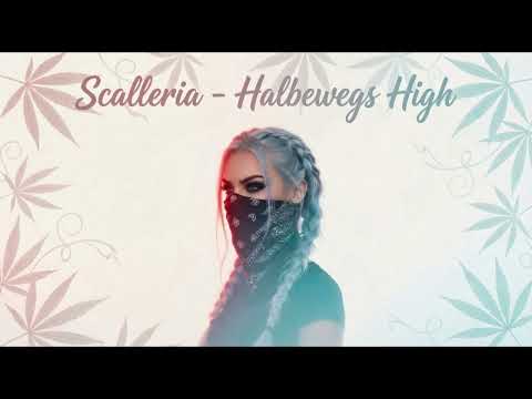 Scalleria - Halbwegs High