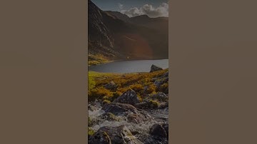 #-اللَّهُ لَطِيفٌ بِعِبَادِهِ يَرْزُقُ مَن يَشَاءُ وَهُوَ الْقَوِيُّ الْعَزِيز  القارئ عاصم اللحيدان