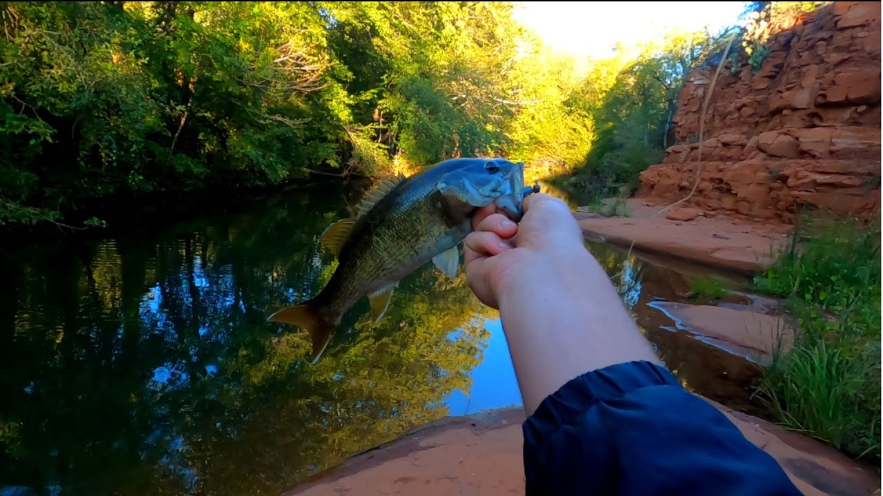 Backwoods Creek Fishing For Smallmouth Bass