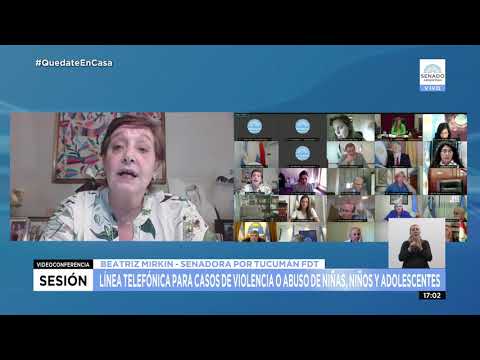 SDORA. BEATRIZ MIRKIN - SESIÓN ESPECIAL 05-11-20