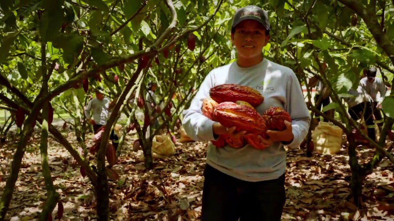 NATIVA ECOSISTEMAS INTEGRALES