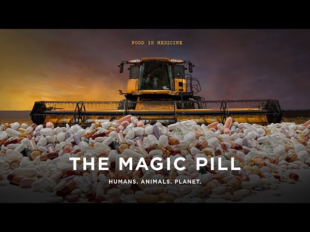 THE MAGIC PILL  Documentary Trailer