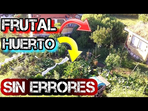 Video: Consejos para elegir la ubicación de un jardín para las verduras