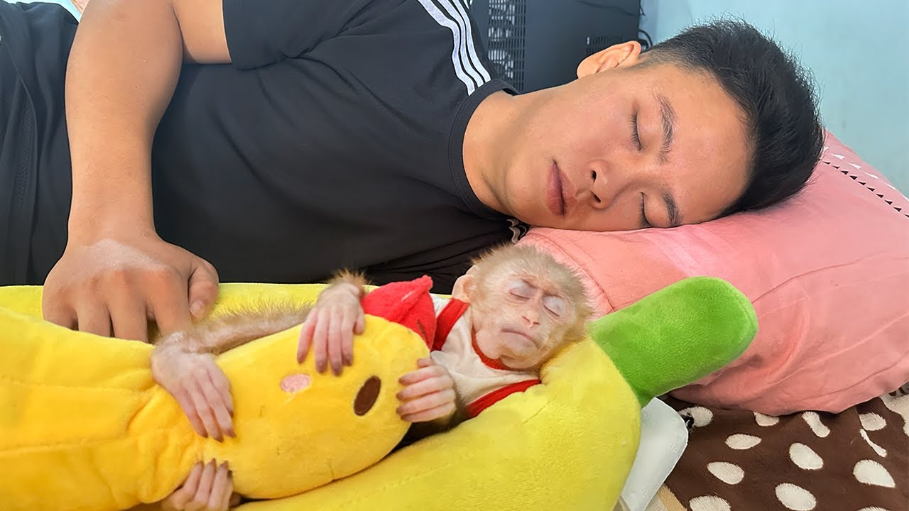 Super cute! Boll Boll sleeping with dad Dong, hugging his teddy bear.