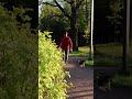За поворотом судьбы #nature #people #park #sunset