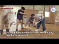 Sumo ring returnsーNHK WORLD-JAPAN NEWS