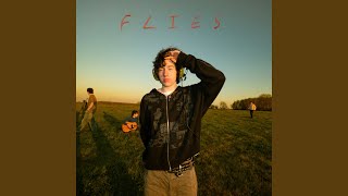 flies - Cherryholt