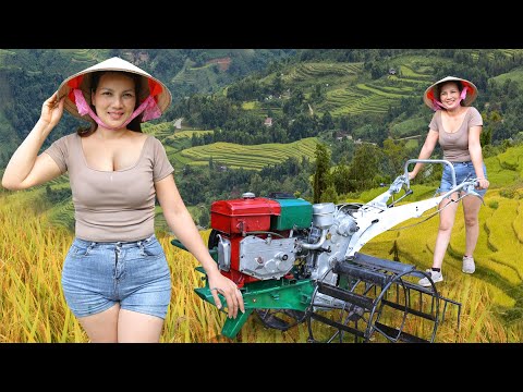 Single mom repairs and restores old agricultural tractors for an elderly farmer