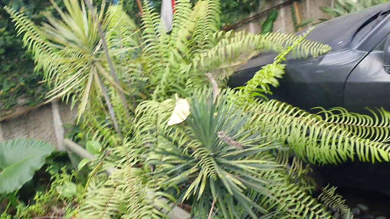Hra Bengkel Mobil Haji Nawi Jakarta Selatan YouTube