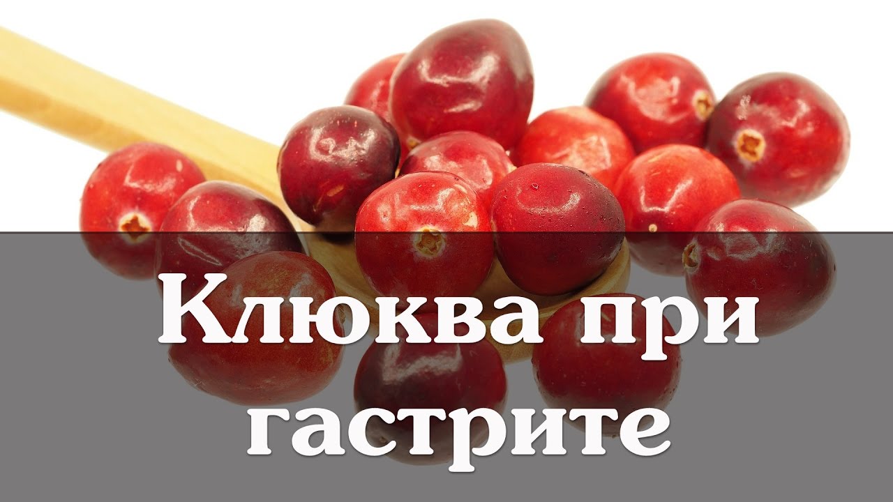 Клюква при гастрите