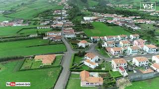 Flamengos na Ilha do Faial Açores