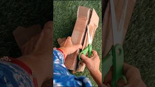 How To Buy A Plant From Meesho