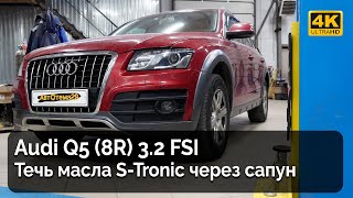 : Audi Q5 /     S-Tronic DL501 (0B5)