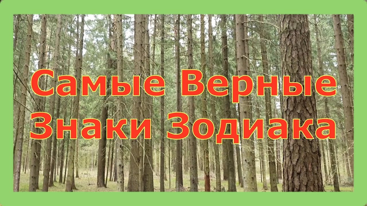 САМЫЕ ВЕРНЫЕ ЗНАКИ ЗОДИАКА
