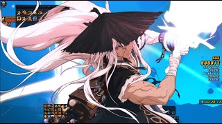 DFO Neo: Blade Master 40 Second Cycle