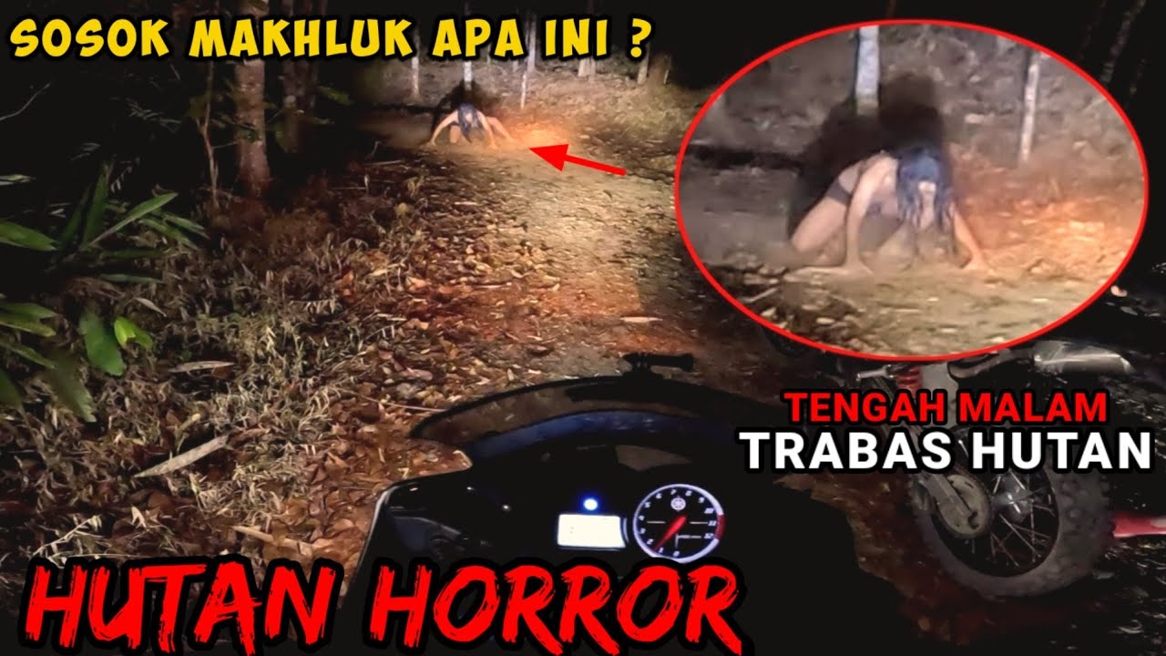 SCARY HORROR‼️MOTORAN TENGAH MALAM DI TENGAH HUTAN! TIBA2 DICEGAT MAKHLUK INI SAMPE