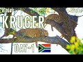 Kruger national park  part 2  day1  skukuza rest camp  big 5 bbq in the jungle  south africa