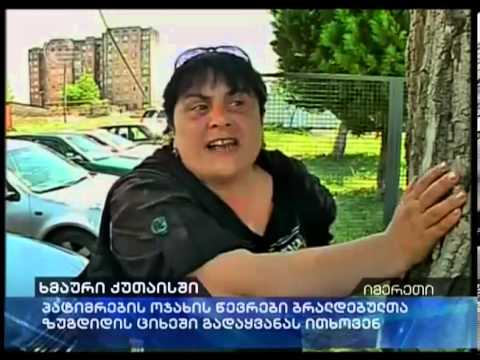 ქუთაისის ციხესთან პატიმრების ახლობლებმა ხელების ხეზე მიიჭედეს