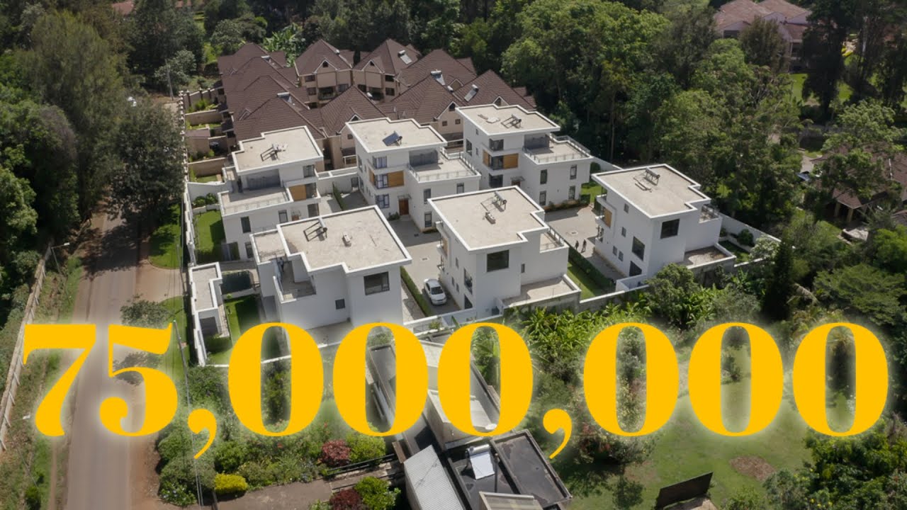 TOURING A 75M TOWN HOUSE IN LAVINGTON