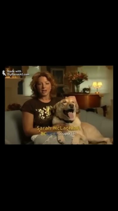 Aspca In The Arms Of An Angel Sarah mclachlan aspca commercial. audio arms of an angel, by sarah