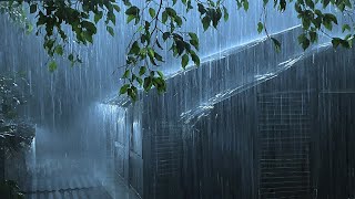 Sleep Immediately in Makeshift Wooden Tent with Heavy Rain & Thunder Sounds Covering Around at Night