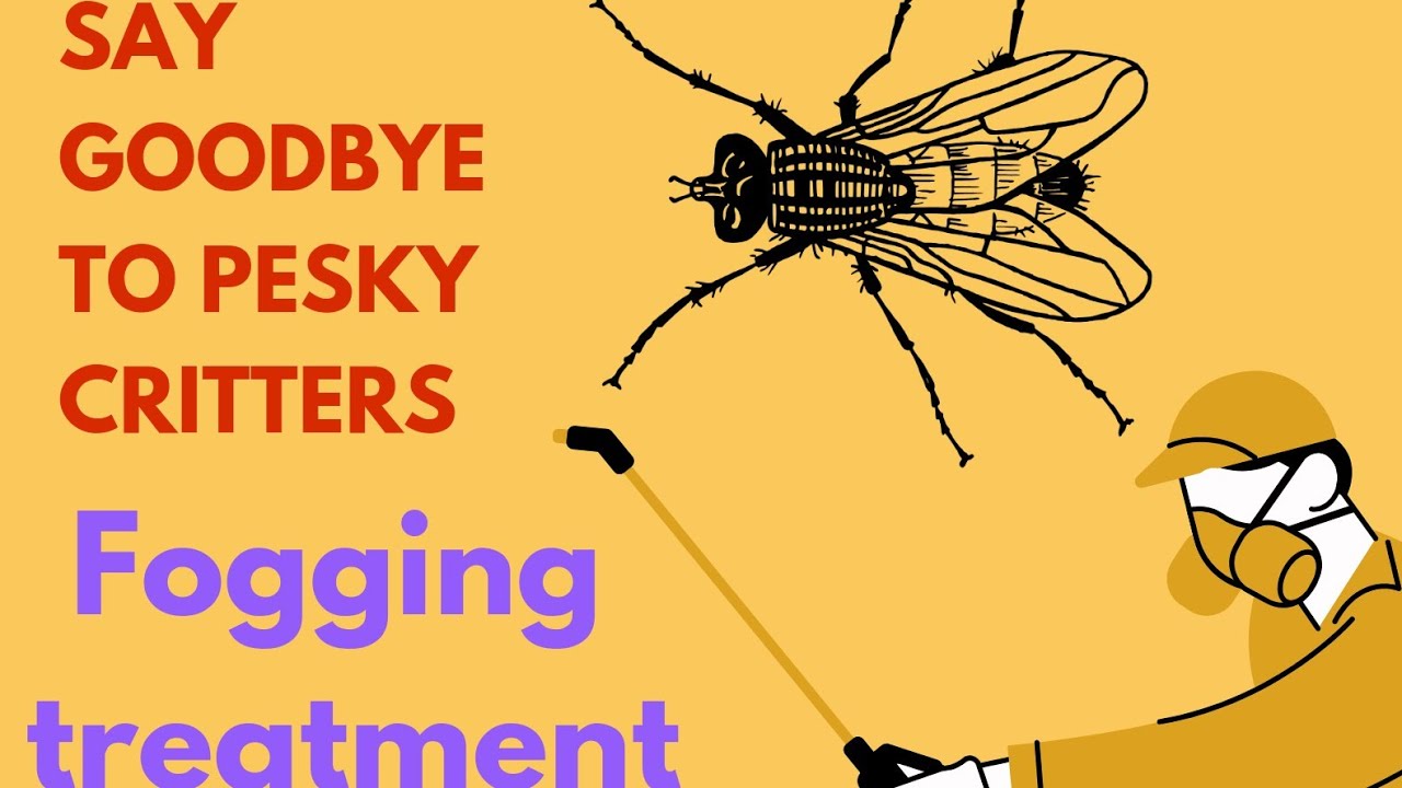pest control !! fogging treatement flies YouTube