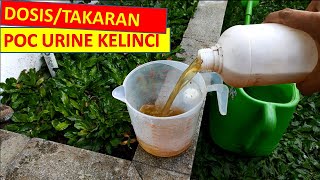 Cara Pakai & Dosis/Takaran Urin/Urine Kelinci Untuk Pupuk/POC Pada Tanaman Cabe dll. dengan kocor