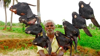 Boneless Goat Head Curry | Mutton Head Masala Curry | Yummy Goat Head Recipe Cooking In Village