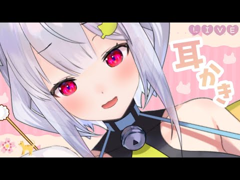 【耳かきASMR】耳かく ₍ᐢ- ̫-ᐢ₎っ👂【はるさめ ねここ/Vtuber】