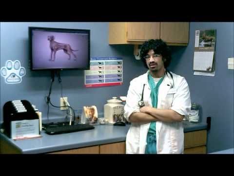 Dr. Kamran Khan gives a brief, albeit nervous introduction to the Animal Hospital of Chetek.