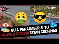 LA GUARDIA🚑 - ALERTA DE PLAYAS Y PISCINAS COCHINAS EN LIMA Y PROVINCIAS