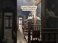 Restoring an 1890s townhouse from 700 miles away
