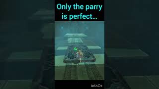 Only the parry is perfect…     #zelda #botw #speedrun #glitchmoments