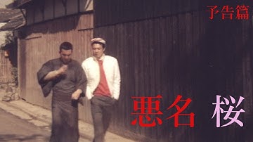 【予告篇 HD】「大映」悪名 桜 主演 勝 新太郎 ＆ 田宮二郎 / Japanese Classic Cinema 