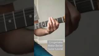 Watch Walter Becker Cringemaker video