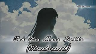 Tum Bin Main Dekhu to β€οΈ(Slowed reverb) ||SD lofi music|| lofi lyrics β€β€οΈ